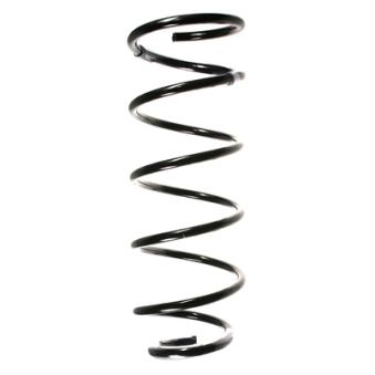 Ressort de suspension SPIDAN OEM 5002V6