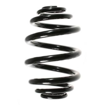 Ressort de suspension SPIDAN OEM 33539065365