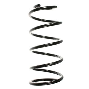 Ressort de suspension SPIDAN OEM 5002Z9