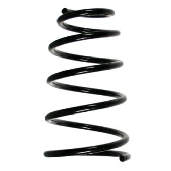 Ressort de suspension SPIDAN [49605]