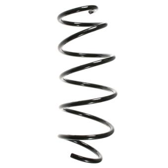 Ressort de suspension SPIDAN OEM 1146134