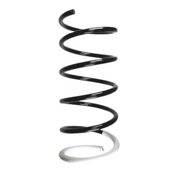 Ressort de suspension SPIDAN OEM 1047975