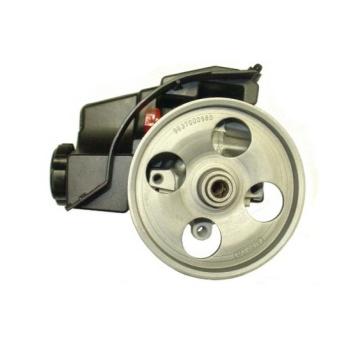 Pompe hydraulique, direction SPIDAN OEM 9636320580