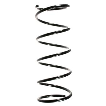 Ressort de suspension SPIDAN OEM 5002P6