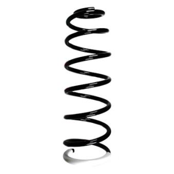 Ressort de suspension SPIDAN OEM 5102H0
