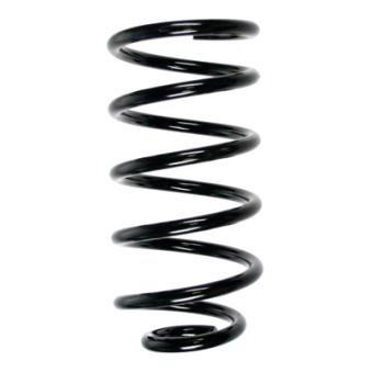 Ressort de suspension SPIDAN 55223