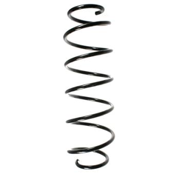 Ressort de suspension SPIDAN OEM 50701023