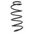 SPIDAN 55309 - Ressort de suspension