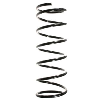 Ressort de suspension SPIDAN OEM 1067191