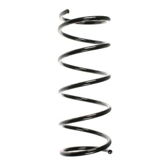 Ressort de suspension SPIDAN OEM 1067134