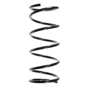 Ressort de suspension SPIDAN OEM 1069014