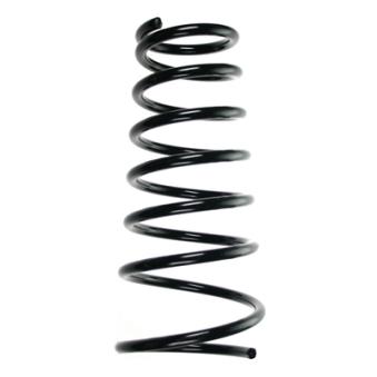 Ressort de suspension SPIDAN 55510