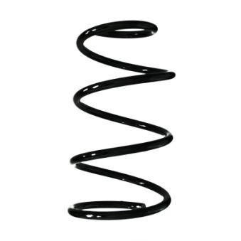 Ressort de suspension SPIDAN 55617