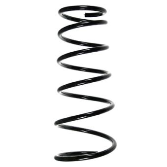 Ressort de suspension SPIDAN 55697