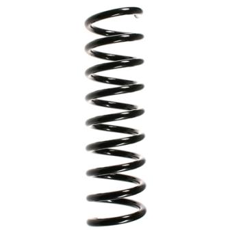 Ressort de suspension SPIDAN OEM 2103212804