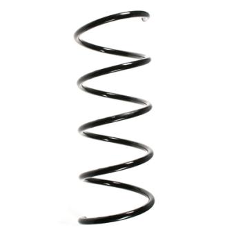 Ressort de suspension SPIDAN OEM A4143210504 Ressort de suspension SPIDAN OEM A4143210504