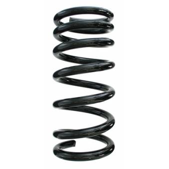 Ressort de suspension SPIDAN 55787