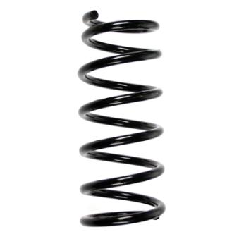 Ressort de suspension SPIDAN OEM 55020BM420