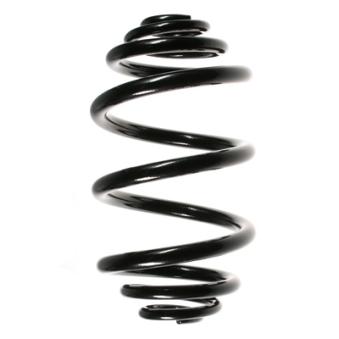 Ressort de suspension SPIDAN OEM 424392