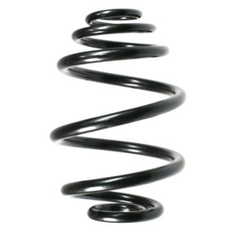Ressort de suspension SPIDAN OEM 424054