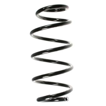 Ressort de suspension SPIDAN OEM 312345