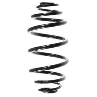Ressort de suspension SPIDAN OEM 424031