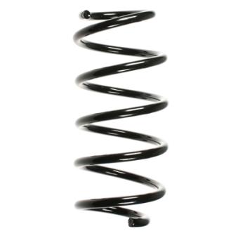Ressort de suspension SPIDAN OEM 312247