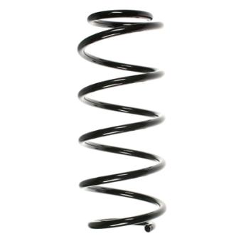 Ressort de suspension SPIDAN OEM 312858