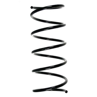 Ressort de suspension SPIDAN OEM 5002T3