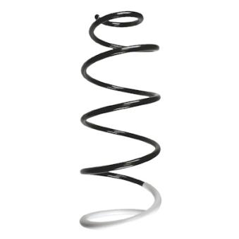 Ressort de suspension SPIDAN OEM 5002AP