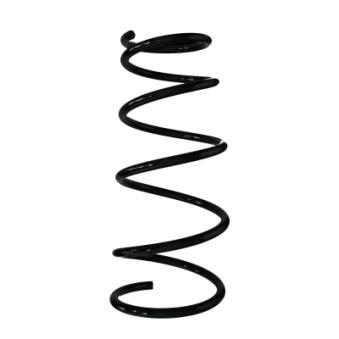 Ressort de suspension SPIDAN OEM 4813152130