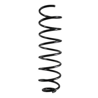 Ressort de suspension SPIDAN OEM 5062401