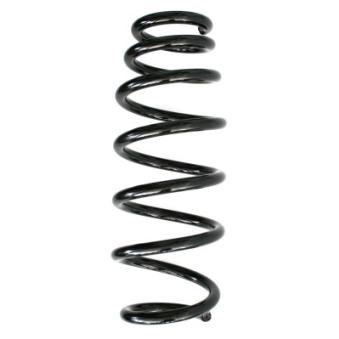 Ressort de suspension SPIDAN OEM 50705819 Ressort de suspension SPIDAN OEM 50705819
