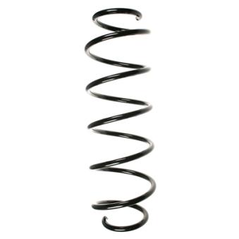 Ressort de suspension SPIDAN OEM 50704418
