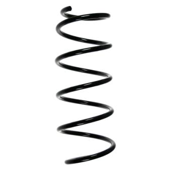 Ressort de suspension SPIDAN OEM 50702860 Ressort de suspension SPIDAN OEM 50702860