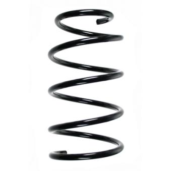 Ressort de suspension SPIDAN OEM 4813502010