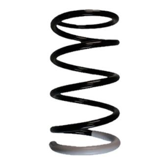 Ressort de suspension SPIDAN OEM 4823142110