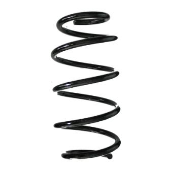 Ressort de suspension SPIDAN OEM 12803645