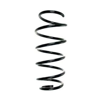 Ressort de suspension SPIDAN OEM 50534841