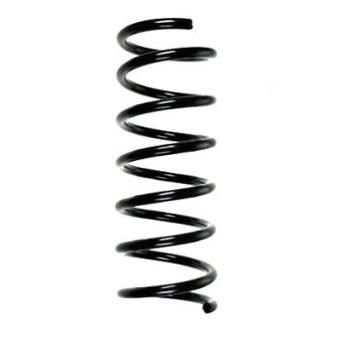 Ressort de suspension SPIDAN OEM 1415675 Ressort de suspension SPIDAN OEM 1415675