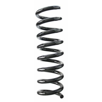 Ressort de suspension SPIDAN OEM 1723240204 Ressort de suspension SPIDAN OEM 1723240204