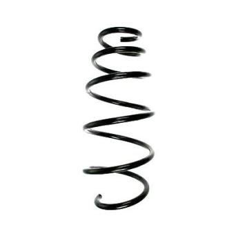 Ressort de suspension SPIDAN OEM 312411