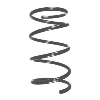 Ressort de suspension SPIDAN OEM 4040A174 Ressort de suspension SPIDAN OEM 4040A174
