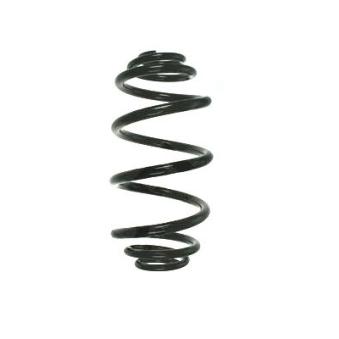 Ressort de suspension SPIDAN OEM 424184