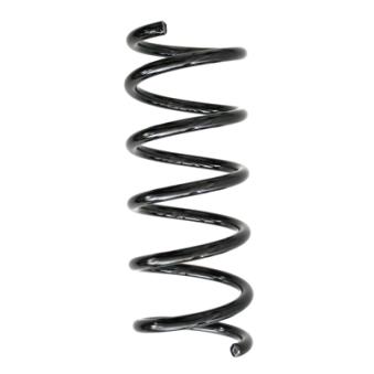 Ressort de suspension SPIDAN OEM 51780554 Ressort de suspension SPIDAN OEM 51780554