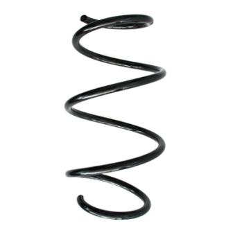 Ressort de suspension SPIDAN OEM 31336851917