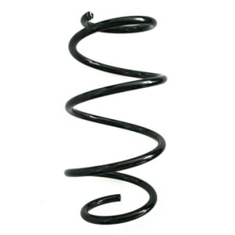 Ressort de suspension SPIDAN OEM 31336851718