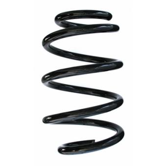 Ressort de suspension SPIDAN [86979]
