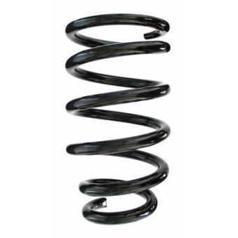 Ressort de suspension SPIDAN OEM 481310k790
