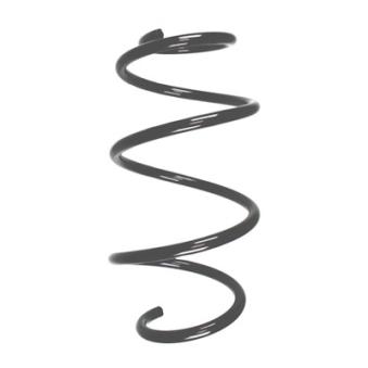 Ressort de suspension SPIDAN OEM 546302Y604